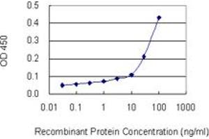 Detection limit for recombinant GST tagged HLA-DPB1 is 10 ng/ml as a capture antibody. (HLA-DPB1 抗体  (AA 1-258))