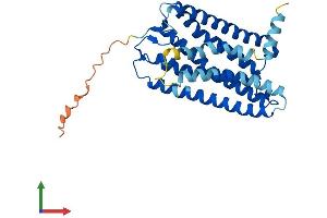AlphaFold protein structure predicition of Human Recombinant OR8A1 Protein, UniprotID Q8NGG7 (OR8A1 Protein (AA 1-326) (His tag))