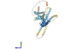 Protein Structure (PS) image for Cation Channel, Sperm Associated 4 (CATSPER4) (AA 1-472) protein (His tag) (ABIN7546757)