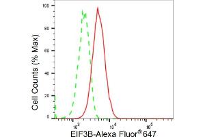 anti-Eukaryotic Translation Initiation Factor 3, Subunit B (EIF3B) antibody