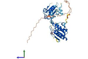 Protein Structure (PS) image for Dual Specificity Phosphatase 5 (DUSP5) (AA 1-384) protein (His tag) (ABIN7547199)