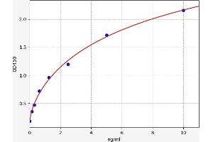 Typical standard curve (Reticulon 3 ELISA 试剂盒)