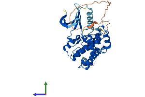 Protein Structure (PS) image for Cyclin-Dependent Kinase-Like 1 (CDC2-Related Kinase) (CDKL1) (AA 1-357) protein (His tag) (ABIN7553065)