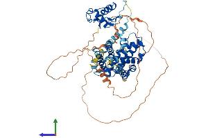 AlphaFold protein structure predicition of Mouse Recombinant Nr5a2 Protein, UniprotID P45448