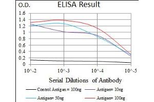 Image no. 2 for anti-CD5 (CD5) antibody (ABIN1491301) (CD5 抗体)