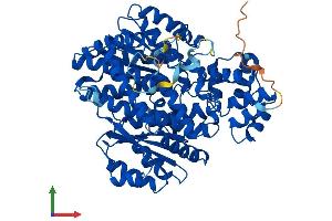 Protein Structure (PS) image for Glucokinase (Hexokinase 4) Regulator (GCKR) (AA 1-625) protein (His tag) (ABIN7547931)