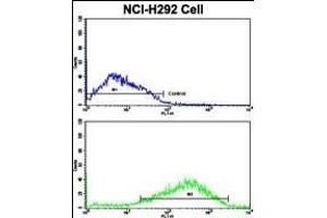 Flow Cytometry (FACS) image for anti-tyrosine Kinase, Non-Receptor, 2 (TNK2) (AA 10-39), (N-Term) antibody (ABIN392082)