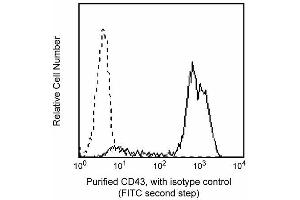 Profile of CD43 (L60) reactivity on peripheral blood lymphocytes analyzed by flow cytometry. (CD43 抗体)