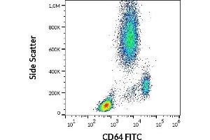 Flow cytometry surface staining pattern of human peripheral whole blood stained using anti-human CD64 (10.