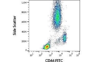 Flow cytometry surface staining pattern of human peripheral whole blood stained using anti-human CD64 (10. (FCGR1A 抗体  (FITC))