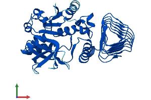 AlphaFold protein structure predicition of Human Recombinant GMPPB Protein, UniprotID Q9Y5P6 (GMPPB Protein (AA 1-360) (His tag))