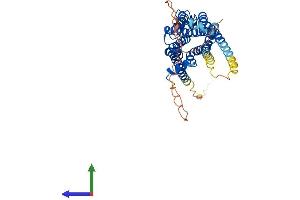 AlphaFold protein structure predicition of Human Recombinant ADRB2 Protein, UniprotID P07550 (beta 2 Adrenergic Receptor Protein (AA 1-413) (His tag))