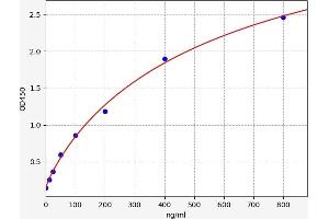 Typical standard curve (Fetuin A ELISA 试剂盒)
