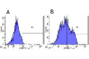 Flow-cytometry using anti-CD22 antibody Epratuzumab   Rhesus monkey lymphocytes were stained with an isotype control (panel A) or the rabbit-chimeric version of Epratuzumab ( panel B) at a concentration of 1 µg/ml for 30 mins at RT. (Recombinant CD22 (Epratuzumab Biosimilar) 抗体)