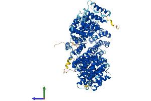Protein Structure (PS) image for Tubulin Folding Cofactor D (TBCD) (AA 1-1196) protein (His tag) (ABIN7564460)