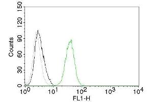 Flow Cytometry of human CD31 on Jurkat cells. (CD31 抗体)