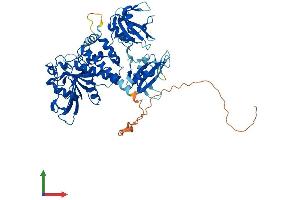 Protein Structure (PS) image for Protein-tyrosine Phosphatase 1C (PTPN6) (AA 1-595) protein (His tag) (ABIN7563072)