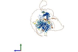 Protein Structure (PS) image for Promyelocytic Leukemia (PML) (AA 1-882) protein (His tag) (ABIN7555010)