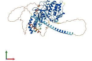 AlphaFold protein structure predicition of Mouse Recombinant Dmpk Protein, UniprotID P54265
