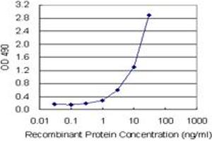 CEACAM1 (Human) Matched Antibody Pair