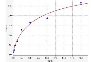 Typical standard curve (Defensin beta 4 ELISA 试剂盒)