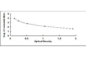 Typical standard curve (Keratan Sulfate ELISA 试剂盒)