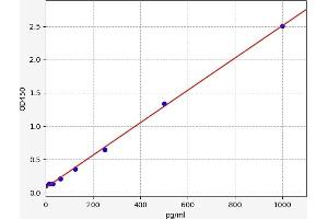 Growth Differentiation Factor 15 (GDF15) ELISA Kit