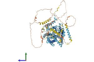 Protein Structure (PS) image for Solute Carrier Family 9, Subfamily A (NHE1, Cation Proton Antiporter 1), Member 1 (SLC9A1) (AA 1-815) protein (His tag) (ABIN7555573)