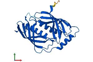 AlphaFold protein structure predicition of Human Recombinant LXN Protein, UniprotID Q9BS40