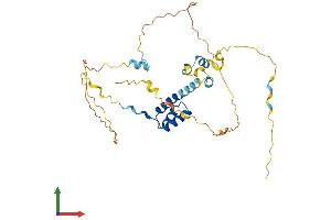 AlphaFold protein structure predicition of Human Recombinant BARHL1 Protein, UniprotID Q9BZE3