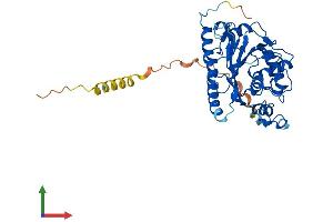 Protein Structure (PS) image for UDP-GlcNAc:betaGal beta-1,3-N-Acetylglucosaminyltransferase 3 (B3GNT3) (AA 1-372) protein (His tag) (ABIN7552505)