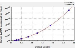 Typical Standard Curve (LAMA3 ELISA 试剂盒)