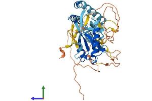 Protein Structure (PS) image for Activating Signal Cointegrator 1 Complex Subunit 1 (ASCC1) (AA 1-400) protein (His tag) (ABIN7552348)