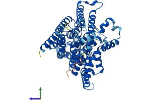 Protein Structure (PS) image for Asparagine-Linked Glycosylation 6, alpha-1,3-Glucosyltransferase Homolog (ALG6) (AA 1-507) protein (His tag) (ABIN7557045)