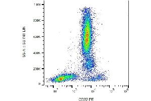 Surface staining of human peripheral blood with anti-human CD32 (3D3) PE. (Fc gamma RII (CD32) 抗体 (PE))