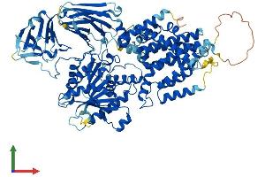 Protein Structure (PS) image for Post-GPI Attachment To Proteins 1 (PGAP1) (AA 1-922) protein (His tag) (ABIN7554915)