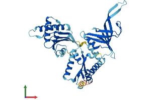 AlphaFold protein structure predicition of Human Recombinant PELO Protein, UniprotID Q9BRX2
