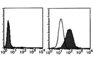 Flow Cytometry (FACS) image for anti-Tumor Necrosis Factor (Ligand) Superfamily, Member 13b (TNFSF13B) antibody (FITC) (ABIN2853607) (BAFF 抗体  (FITC))