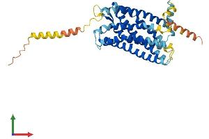 Protein Structure (PS) image for Chemokine (C-X-C Motif) Receptor 5 (CXCR5) (AA 1-372) protein (His tag) (ABIN7546855)