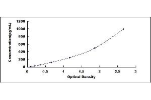 Typical standard curve (BNP ELISA 试剂盒)