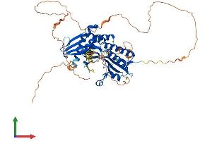 Protein Structure (PS) image for Phosphatidylinositol-4-Phosphate 5-Kinase, Type I, beta (PIP5K1B) (AA 1-539) protein (His tag) (ABIN7556668)