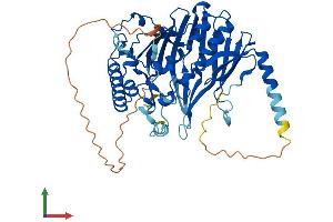 Protein Structure (PS) image for Oxysterol Binding Protein-Like 2 (OSBPL2) (AA 1-484) protein (His tag) (ABIN7558992)