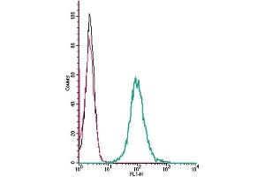 Flow Cytometry (FACS) image for anti-Angiotensin II Receptor, Type 2 (AGTR2) (AA 21-35), (Extracellular) antibody (ABIN7042925)