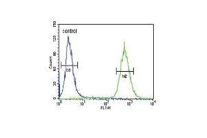 GDNF Antibody (N-term) (ABIN652624 and ABIN2842416) flow cytometric analysis of 293 cells (right histogram) compared to a negative control cell (left histogram). (GDNF 抗体  (N-Term))
