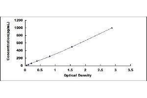 Typical standard curve (CDNF ELISA 试剂盒)