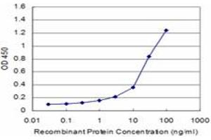 Detection limit for recombinant GST tagged FUT7 is approximately 0. (FUT7 抗体  (AA 262-342))