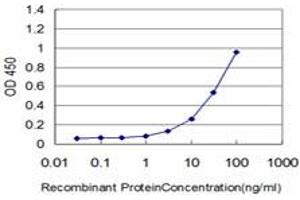 Detection limit for recombinant GST tagged HSPB8 is approximately 1ng/ml as a capture antibody. (HSPB8 抗体  (AA 97-196))