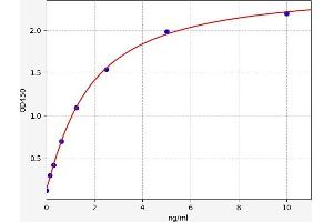 Typical standard curve (T-Bet ELISA 试剂盒)