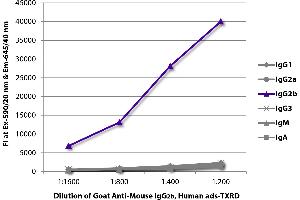 FLISA plate was coated with purified mouse IgG1, IgG2a, IgG2b, IgG3, IgM, and IgA. (山羊 anti-小鼠 IgG2b (Heavy Chain) Antibody (Texas Red (TR)))