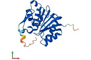 Protein Structure (PS) image for Family With Sequence Similarity 119A (FAM119A) (AA 1-218) protein (His tag) (ABIN7549520)